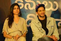Kanulu Kanulanu Dochayante Movie Success Meet